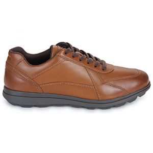 Geox Baskets basses U SPHERICA EC12 Marron - Taille 41,42,43,44