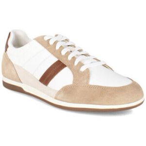 Geox Baskets basses Renan bi matières