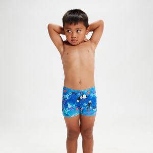 Image de Speedo Maillot de bain b&eacute;b&eacute; dig allov aqsh blu/ora