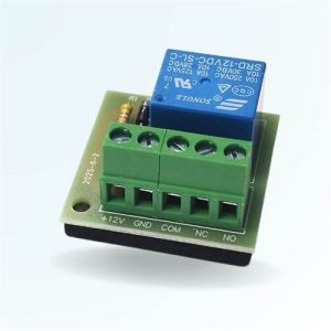 BT SECURITY Relais &eacute;lectrique 12v