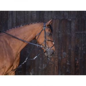 Riding World Gogue pour cheval