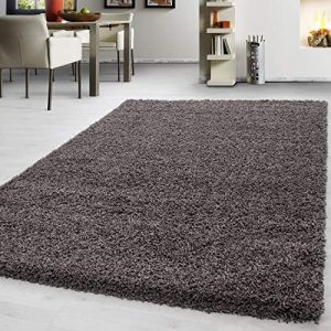 Teppium Tapis à poils longs tapis shaggy moderne monochrome tapis de salon à poils longs [Taupe, 80 x 150 cm ] Rectangulaire [710160