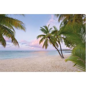Komar Photo Murale - 368 X 248 Cm - Panoramique Intiss&eacute; - Paradise Morning