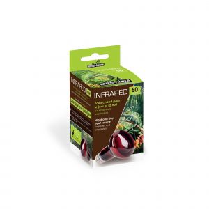 Reptiles Planet Ampoule Infrared 50 W