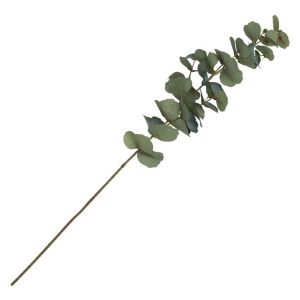 Ruedelafete Tige d'Eucalyptus r&eacute;aliste avec bourgeons 69cm, Vert