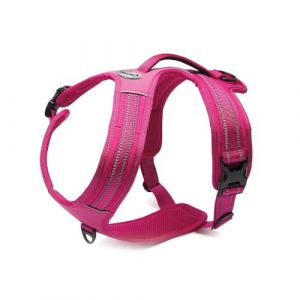 Record - Harnais pour Chien Action Alpes - Couleur Fuchsia - Taille M - Matière : Nylon Tressé avec Bandes Réfléchissantes 3M ScotchLite - Circonférence 60-72 cm
