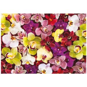 Educa Puzzle 1000 pièces : Orchidées