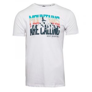 Best Mountain T-shirt Blanc Homme 2001
