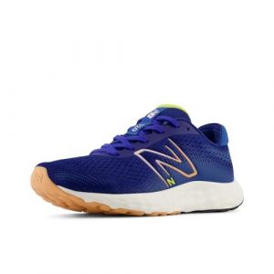 New Balance Femme 520v8 Sneaker, Bleu, 37 EU
