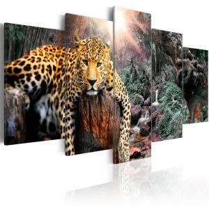 Artgeist Tableau - Leopard Relaxation - 100x50