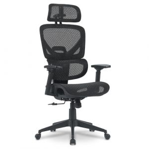 Waytex Fauteuil de bureau Ergonomique avec assise mesh tendu &ndash; Dossier r&eacute;glable - Appui-t&ecirc;te et Accoudoirs r&eacute;glables 3D &ndash; Soutien lombaire dynamique &ndash; Basculant synchrone - Usage intensif + de 7h &ndash; noir