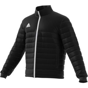 Veste Adidas Entrada 22