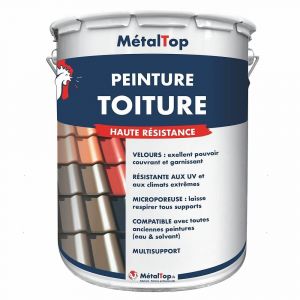 Peinture Toiture - Noir graphite - RAL 9011 - Pot 1L