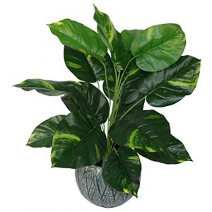 Leaf Design UK Plante Artificielle en Plastique Noir 60 cm