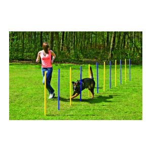 Karlie Slalom Agility pour chien