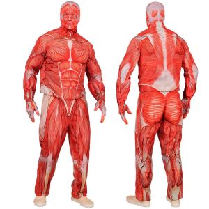Ruedelafete Déguisement Anatomie - Adulte - M