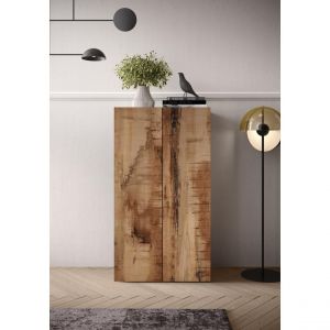 Meuble de stockage 2 portes multifonctionnelle