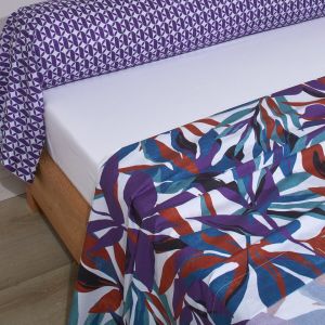 Blanc des vosges Drap plat percale EQUINOXE Violine