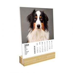 Image de DRAEGER PARIS | Calendrier sur socle Chiens 2024 |12 x 16,5 cm | Année 2024 | 7 langues | Calendrier décoration bureau mensuel| Socle en bambou | Papier certifié FSC | encres végétales