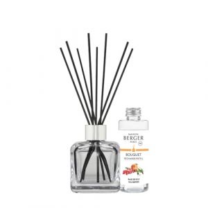 Maison Berger Paris Cube Goji Berries diffuseur d'huiles essentielles avec recharge 100 ml