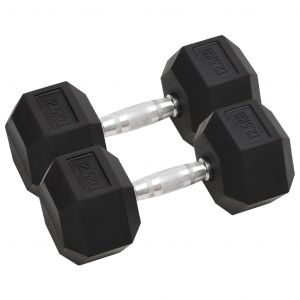 Image de VidaXL Haltères 2 pcs 25 kg Fonte