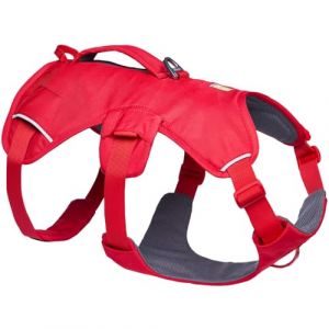 Ruffwear Harnais pour chien Web Master