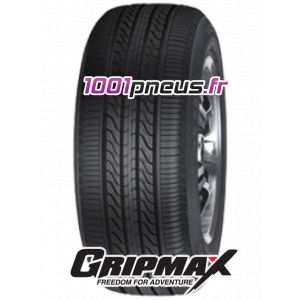 Image de Gripmax 255/45 R20 105V Stature M/S XL