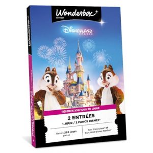 Connect Ticketbox - Disneyland Paris - Journ&eacute;e en Duo 2 Parcs Disney - Coffret Cadeau - Id&eacute;e Cadeau Divertissement