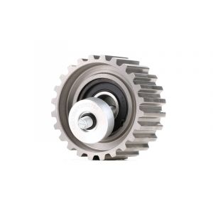 RIDEX Poulie renvoi/transmission, courroie de distribution FIAT,IVECO 313D0064 500388688,500390458,500388688