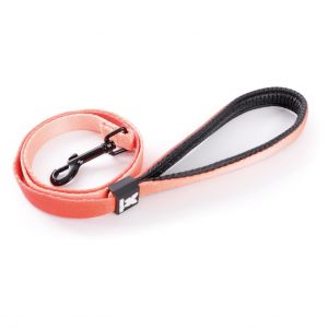 Martin Sellier Laisse pour chien nylon XS