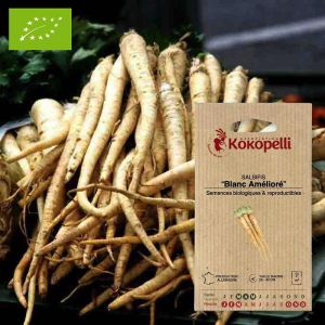 Sachet de graines bio &agrave; semer - Salsifis Blanc Am&eacute;lior&eacute;