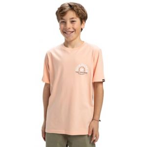 Quiksilver Ev Summer Road - T-shirt à manches courtes pour Garçon 8-16 Rose - Taille 12
