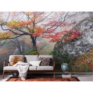 Komar Papier peint intissé Euphoria