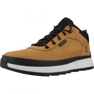 Timberland Sneakers homme field trekker