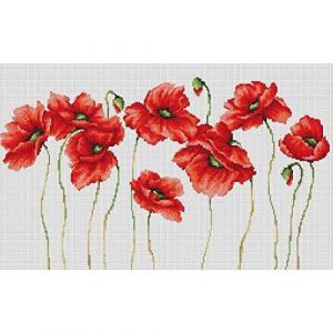 Lucas Luca-S LB2223 Kit pour Point de Croix Compté Motif Plein de Coquelicots 23,5 x 40 cm…