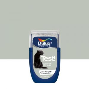 Image de Dulux Valentine Testeur peinture murs et boiseries Crème de couleur douceur de l'aube 30ml