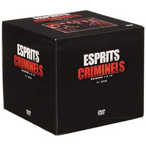 Coffret esprits criminels, saisons 1 à 13 [DVD]