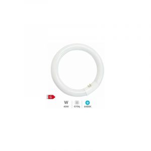Tube fluorescent circulaire T9 40W G10q 6400K