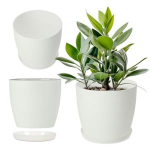 Pot de Fleurs en Plastique avec Soucoupe et Finition Mate Élégante, Cache-Pot pour Une Décoration Intérieure Raffinée et Moderne (14 cm, Blanc)