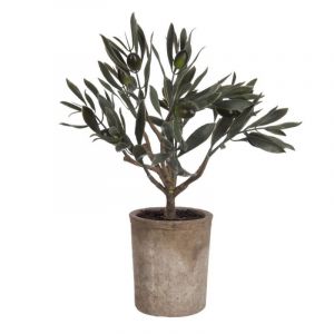 Plante Artificielle en Pot "Olivier" 35cm Vert Prix