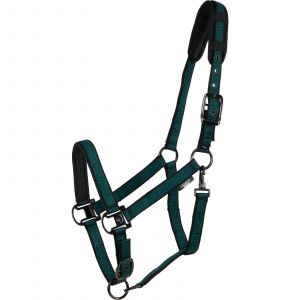 Licol pour cheval Catago