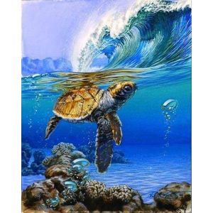Peinture au numéro : Tortue marine - sans châssis en bois