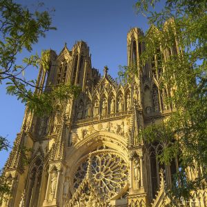 Image de Ceanothe Tableau sur toile tour cathédrale 45x45 cm