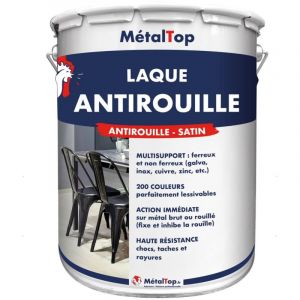 Laque Antirouille - Vert bouteille - RAL 6007 - Pot 5L