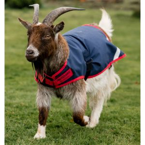 Manteau pour chèvre Horseware 0g
