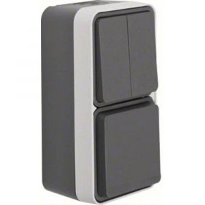 Berker SERIENSCH./SCHUKO STECKD. 47903515 KOMBINATIO. GRIS CLAIR W.1 INTERRUPTEUR DE COURANT COMBINAISON 4011334404453
