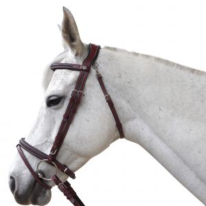 Bridons &eacute;quitation pour cheval Flags&Cup Aachen