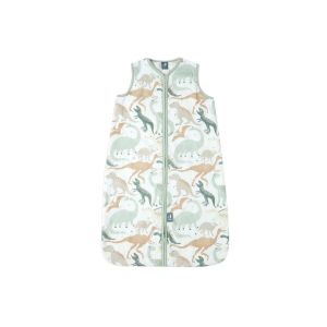 Jollein Gigoteuse Ete Dino - 6/18 Mois