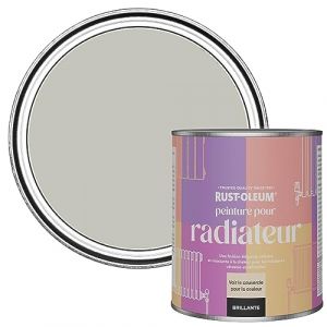Rust-oleum Peinture Grise Résistante à la chaleur pour Radiateur, Finition Brillante - Brume 750ml