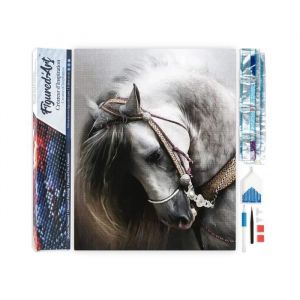 Figured&rsquo;Art Diamond Painting Broderie Diamant 40x50cm Toile Enti&egrave;re Roul&eacute;e avec Strass Perles Carr&eacute;s - Cheval gris &eacute;l&eacute;gant - Kit Complet Animaux 5D DIY Activit&eacute; Manuelle Loisirs Cr&eacute;atifs Adultes